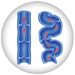 Veins with venous insufficiency flow icon